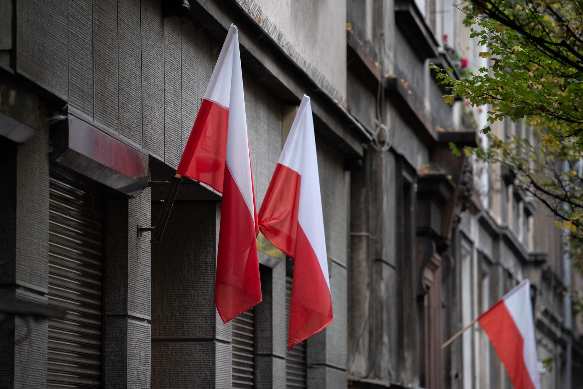 Is Vinted Available in Poland?
